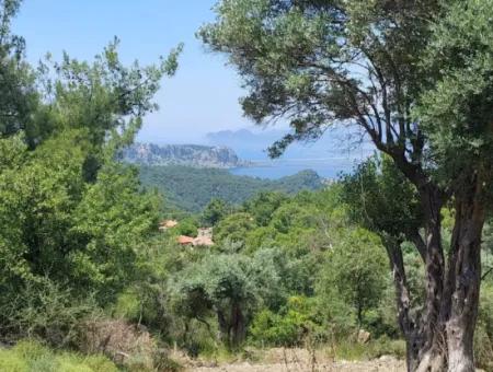 1.000 M² Investitionsgrund Mit See- Und Meerblick Zum Verkauf In Muğla Ortaca Gökbel