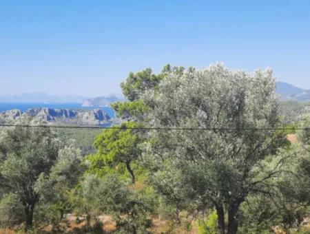 Ortaca Gökbelde See Und Meerblick Freistehende Eigentumsurkunde Zum Verkauf 650M2 Land Zum Verkauf