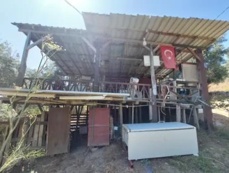 Zu Verkaufen Mit Einem Nummerierten Gebäude Auf 2.500M2 Schatzgrundstück In Ortaca Eskiköy