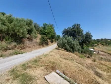 Zu Verkaufen Mit Einem Nummerierten Gebäude Auf 2.500M2 Schatzgrundstück In Ortaca Eskiköy
