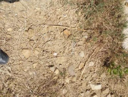 Zu Verkaufen Mit Einem Nummerierten Gebäude Auf 2.500M2 Schatzgrundstück In Ortaca Eskiköy