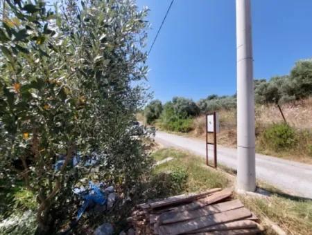 Zu Verkaufen Mit Einem Nummerierten Gebäude Auf 2.500M2 Schatzgrundstück In Ortaca Eskiköy