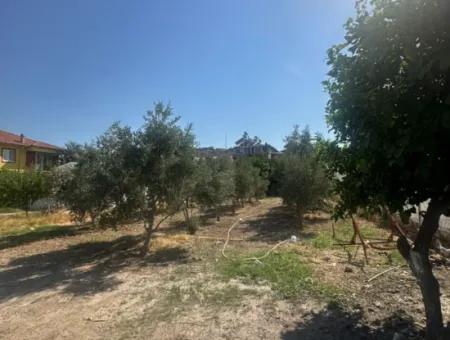 538 M² Grundstück Zum Verkauf In Ortaca Ekşiliyurt – Baugenehmigung Für 250 M²