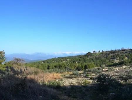 Wertvolle Waterfront Land Zum Verkauf In Tlos Fethiye Kragen