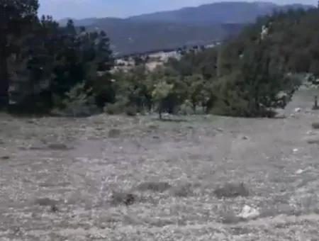 1770 M2 Feld Zum Verkauf In Çameli Ayvacık