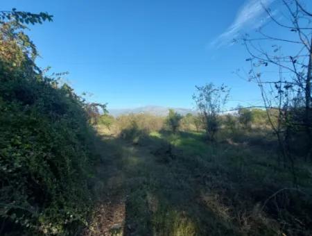 9 600 M2 Grundstück In Der Nähe Des Sees In Köyceğiz Toparlar Stehen Zum Verkauf