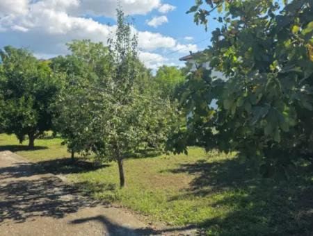 2 1, 70 M2 Dorfhaus Zum Verkauf Auf 902 M2 Land Null Zur Ortaca Akıncı Sarıgerme Road