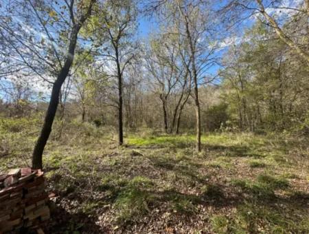 12 000 M2 Feld Zum Verkauf In Ortaca Yeşilyurt