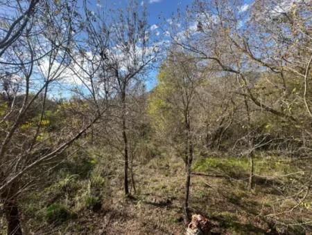 12 000 M2 Feld Zum Verkauf In Ortaca Yeşilyurt