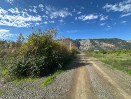 12 000 M2 Feld Zum Verkauf In Ortaca Yeşilyurt