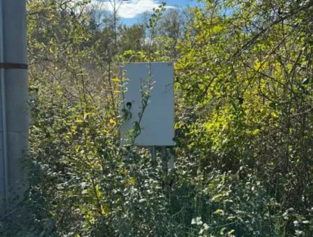 12 000 M2 Feld Zum Verkauf In Ortaca Yeşilyurt