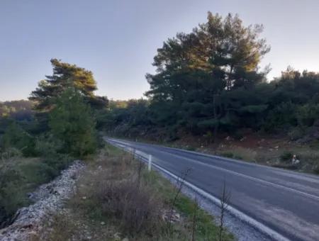 Muğla Ula Kızılyaka 790M2 Schatzkammer Das Landbesitzrecht Wird Übertragen Oder Das Fahrzeug Wird Ausgetauscht