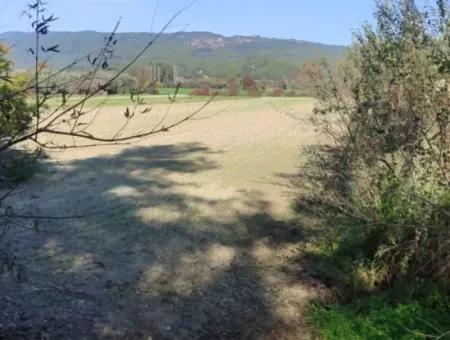 Schnäppchen 6.000 M² Land Zum Verkauf In Muğla Ula Karabörtlende