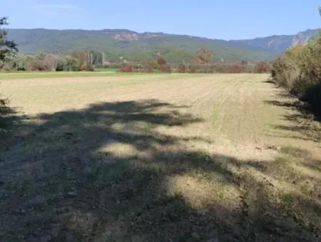 Schnäppchen 6.000 M² Land Zum Verkauf In Muğla Ula Karabörtlende