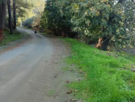 Schnäppchen 6.000 M² Land Zum Verkauf In Muğla Ula Karabörtlende