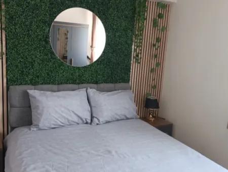 1 1 Voll Möblierte Wohnung Zur Miete Im Ortaca Center