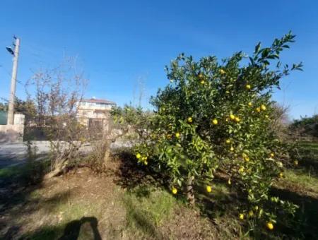 4.500 M² Grundstück Mit 150 M² Baurecht In Muğla Dalyan Zum Verkauf Oder Tausch Gegen Villa Von Dalyan