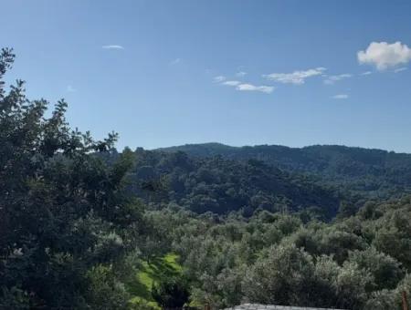 Ortaca Gökbel Abgetrenntes 2.640 M² Land Mit Meerblick Zum Verkauf