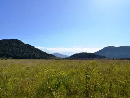 Bauernhof Zum Verkauf Schnäppchen In Dalyan