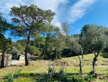 Freistehendes Feld Zu Verkaufen In Ortaca Gökbel