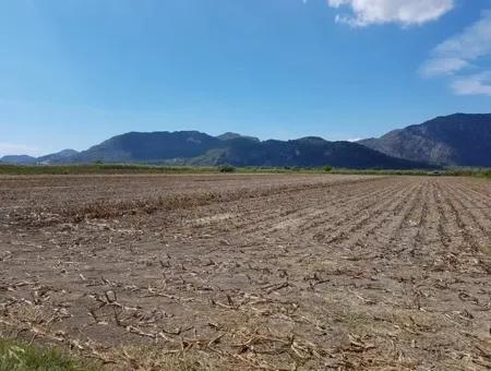 Fruchtbares Land Zum Verkauf In Famagusta Schnäppchen