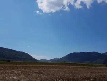 Fruchtbares Land Zum Verkauf In Famagusta Schnäppchen