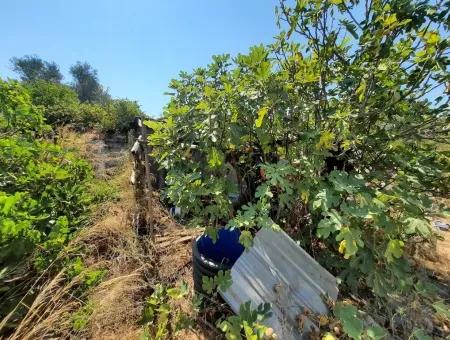 Zoning Land Zu Verkaufen In Köycegiz Topars