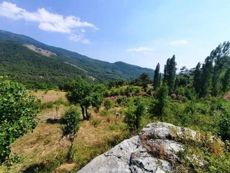 Köycegiz Yayla, Agla Dorf Zum Verkauf Freistehendes Land Geeignet Für Investitionen Mit Seeblick