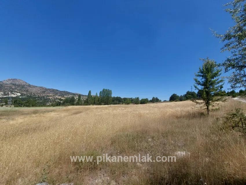 Gelände Zu Verkaufen in Cumaalanı Bz. Çameli - Feld-Zonierung - 6.230 m²