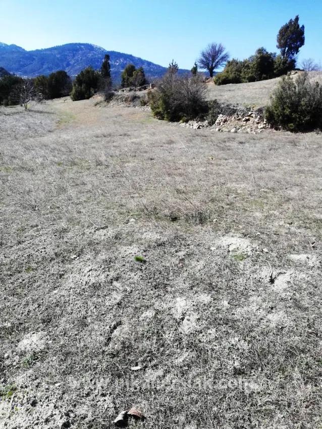 Gelände Zu Verkaufen in İmamlar Bz. Çameli - Feld-Zonierung - 1.420 m²