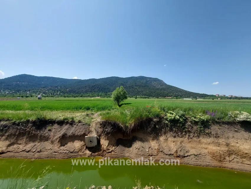 Gelände Zu Verkaufen in Bıçakçı Bz. Çameli - Feld-Zonierung - 5.333 m²