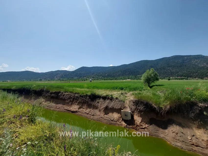 Gelände Zu Verkaufen in Bıçakçı Bz. Çameli - Feld-Zonierung - 5.333 m²