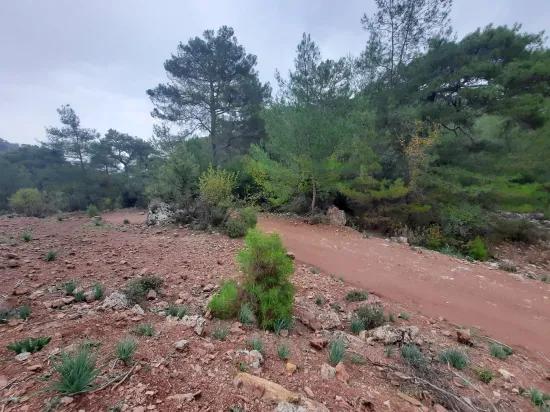 Muğla Ortaca In Gökbel 24.000 M² Innerhalb Der Natur Freistehendes Grundstück