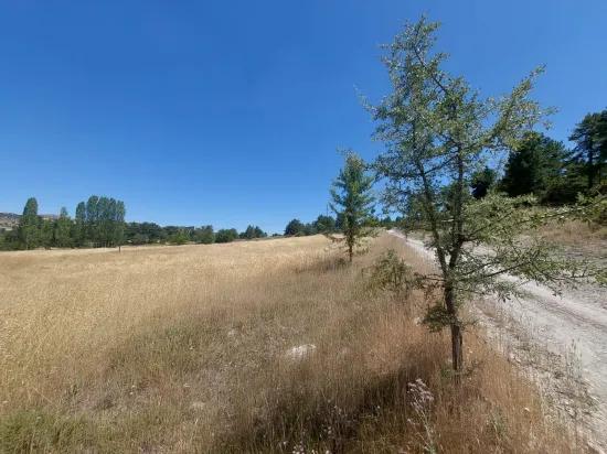 In Çameli Cumalan Zur Alten Acıpayam Straße Neues Freistehendes 6 230 M2 Grundstück Zum Verkauf Oder Tausch