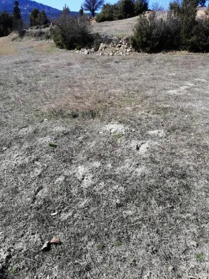 Denizli Çameli In İmamlar Freistehendes 1 420 M2 Investitionsgeeignetes Grundstück Zu Verkaufen Oder Tausch Möglich