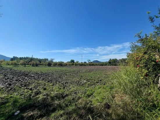 In Muğla Dalyan 7 224 M2 Freistehendes Feld Zu Verkaufen Oder Von Ortaca Wohnung Tausch Ist Möglich