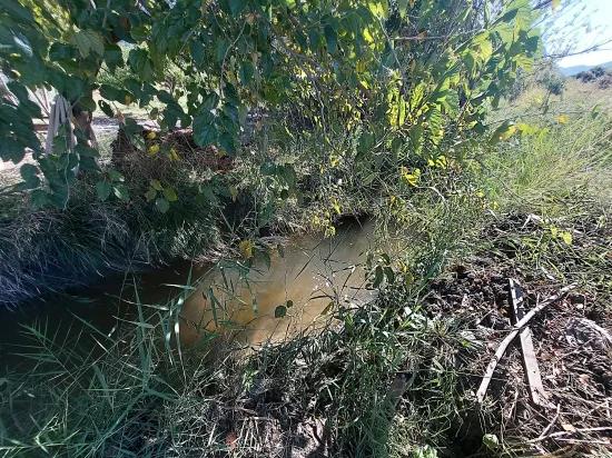 In Muğla Dalyan 7 224 M2 Freistehendes Feld Zu Verkaufen Oder Von Ortaca Wohnung Tausch Ist Möglich