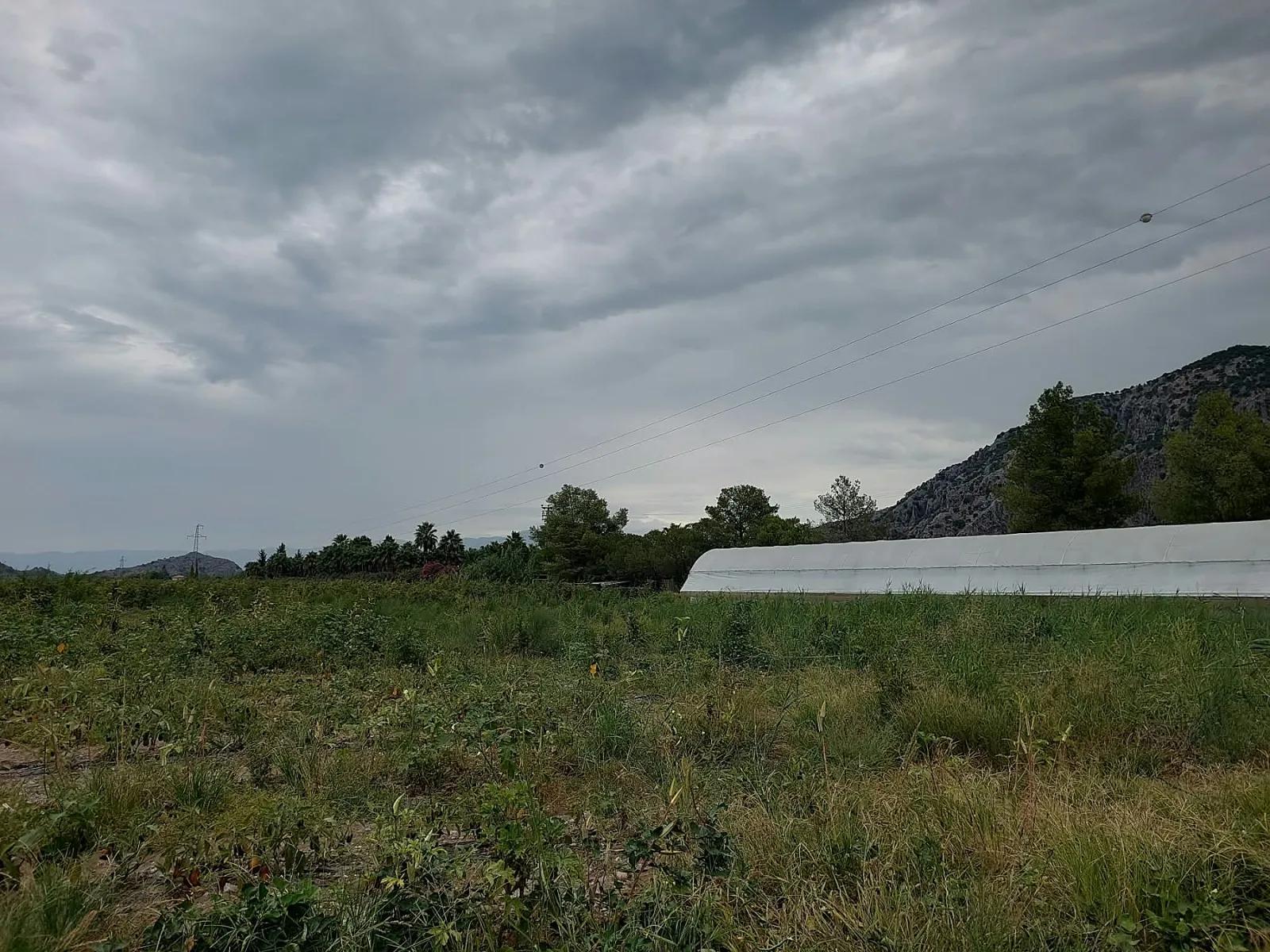 Muğla In Dalyan 3000 m2 Detached suitable for Investment land for sale