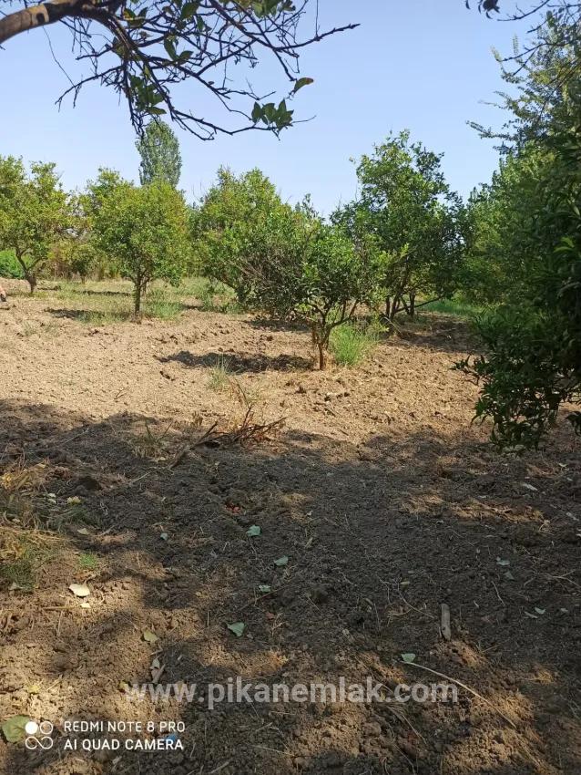 Field For sale in Köyceğiz Nbh. Köyceğiz - Field Zoned - 2.346 m²