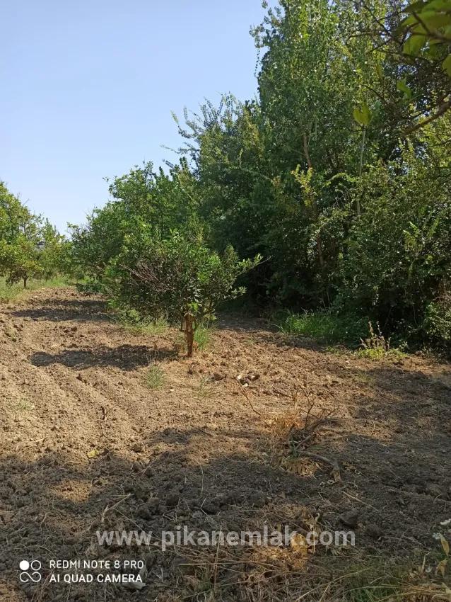 Field For sale in Köyceğiz Nbh. Köyceğiz - Field Zoned - 2.346 m²