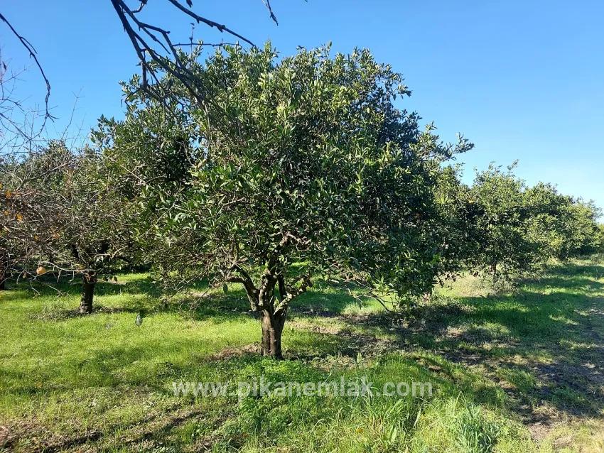 Land For sale in Okçular Nbh. Ortaca - Housing Zoned - 1.000 m²