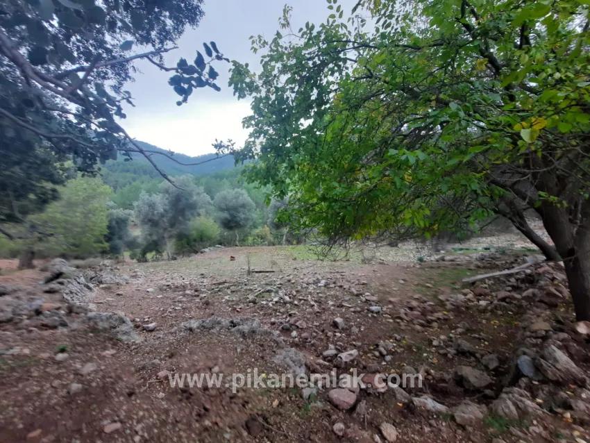 Terrain For Sale in Gökbel Nbh. Ortaca - Field Zoned - 24.000 m²