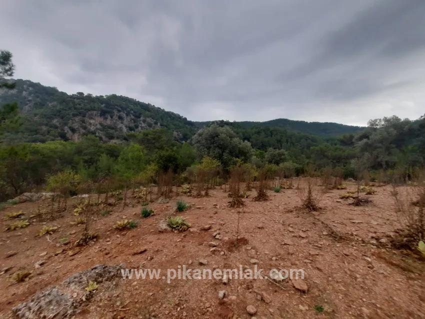 Terrain For Sale in Gökbel Nbh. Ortaca - Field Zoned - 24.000 m²