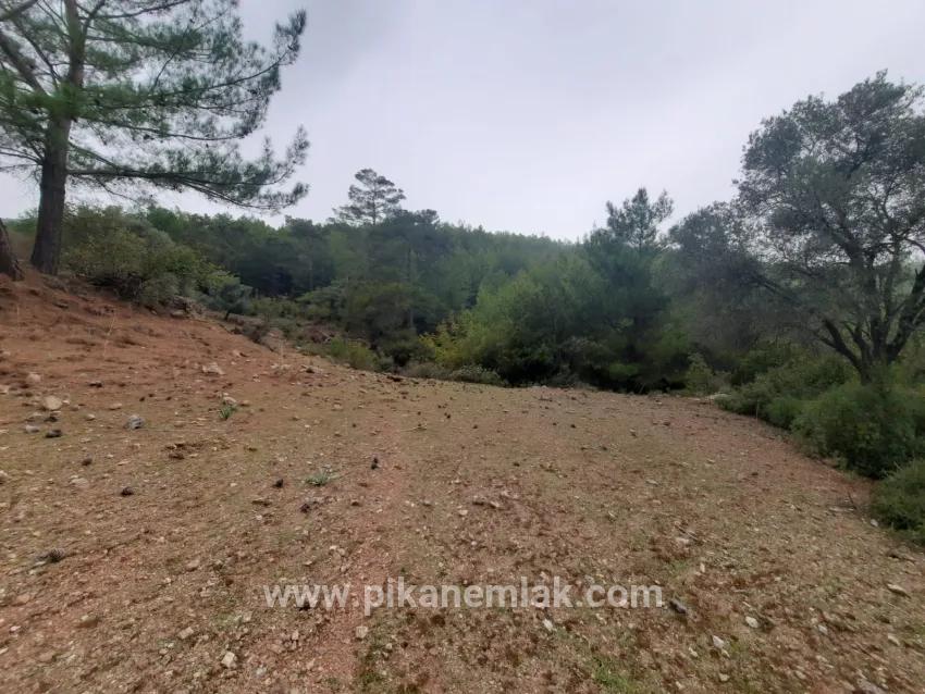 Terrain For Sale in Gökbel Nbh. Ortaca - Field Zoned - 24.000 m²