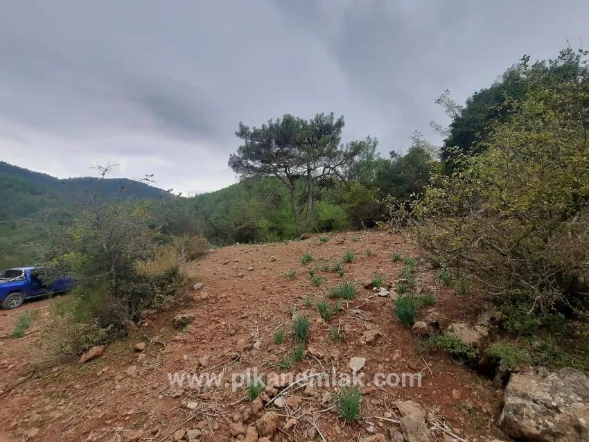 Terrain For Sale in Gökbel Nbh. Ortaca - Field Zoned - 24.000 m²