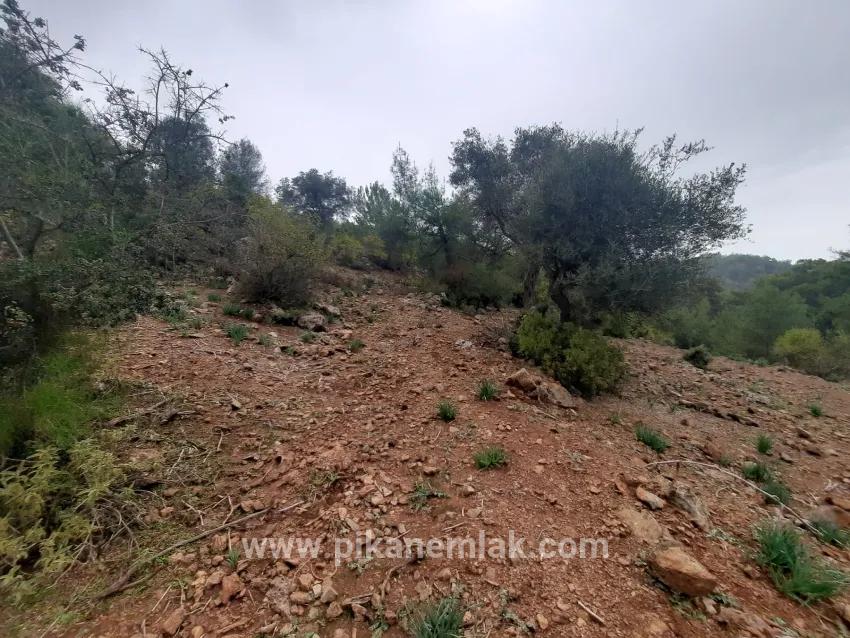 Terrain For Sale in Gökbel Nbh. Ortaca - Field Zoned - 24.000 m²