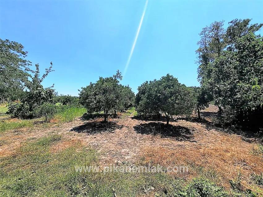 Field For Sale in Toparlar Nbh. Köyceğiz - Field Zoned - 2.650 m²