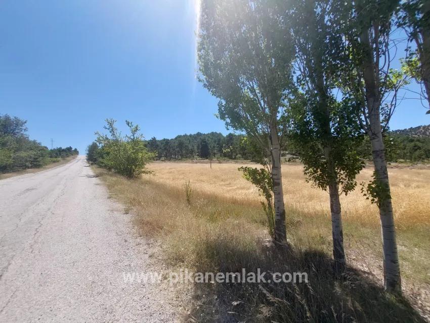 Terrain For Sale in Cumaalanı Nbh. Çameli - Field Zoned - 6.230 m²