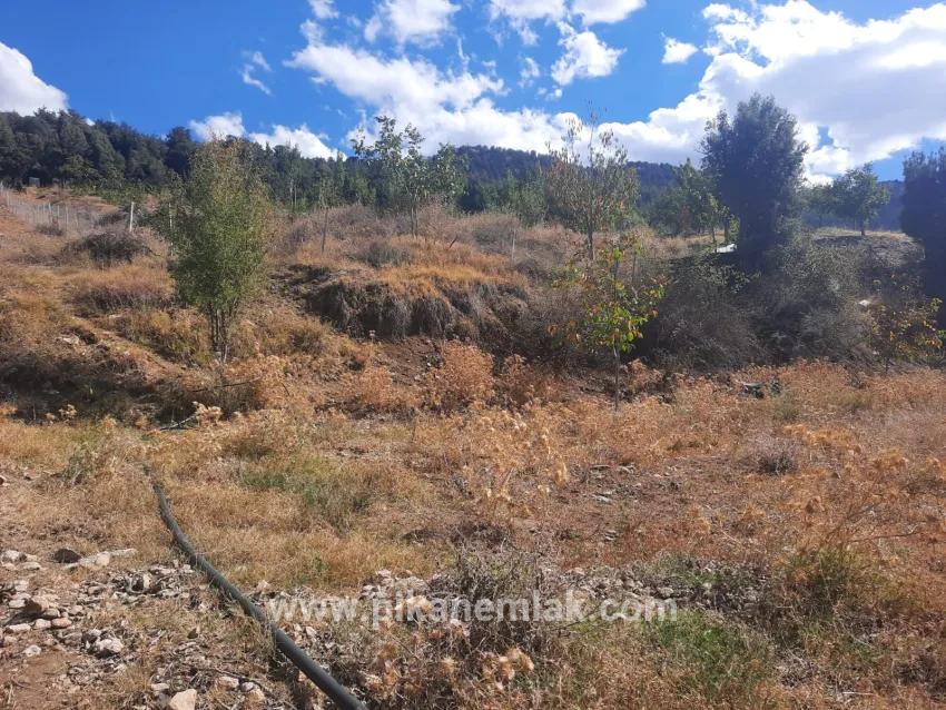 2+1 Bedroom Farm house For sale in Kızılyaka Nbh. Çameli - 5.000 m²