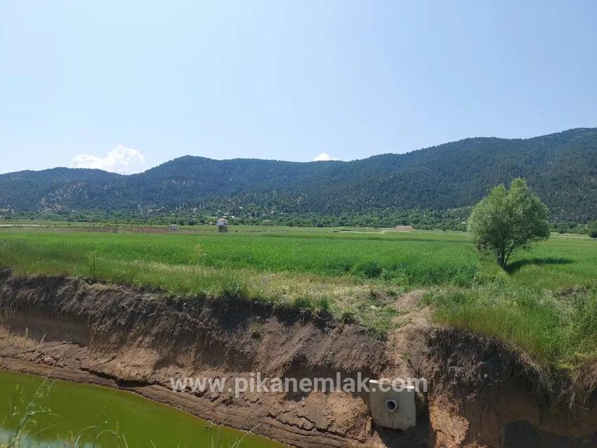 Terrain For Sale in Bıçakçı Nbh. Çameli - Field Zoned - 5.333 m²